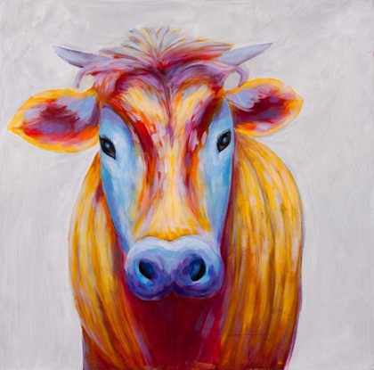 Picture of COLORFUL COUNTRY COW