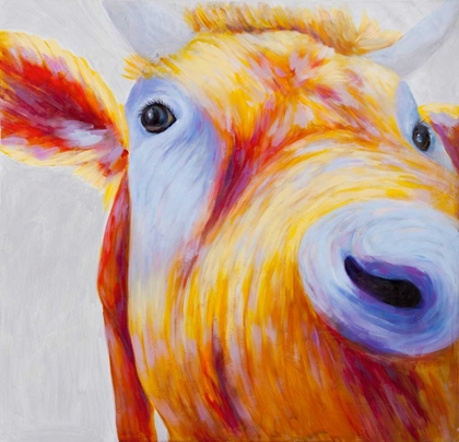 Picture of CURIOUS COLORFUL COW 