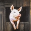 Picture of SMILING PIG