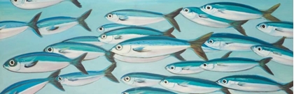 Picture of SMALL FISHS OF CAESIO CAERULAUREA