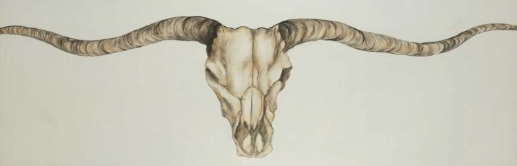 Picture of LONG HORN SKULL COUNTRY