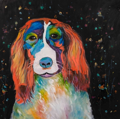 Picture of COLORFUL DOG