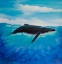 Picture of BLUE WHALE