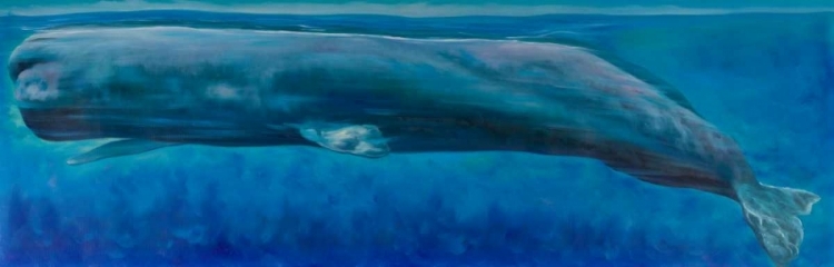 Picture of SPERM WHALE