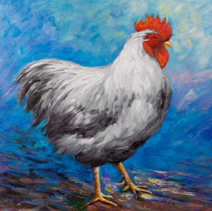 Picture of GREY ROOSTER