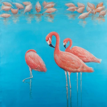 Picture of GROUP OF FLAMINGOS