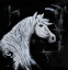 Picture of OUTLINE HORSE PROFILE VIEW