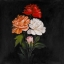 Picture of THREE BEAUTIFUL ROSE FLOWERS