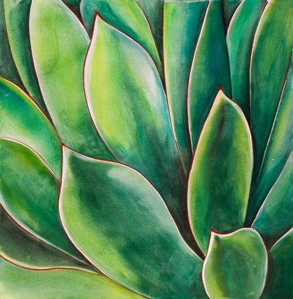 Picture of WATERCOLOR AGAVE PLANT