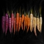 Picture of DIFFERENT COLOURED CARROTS VEGETABLE