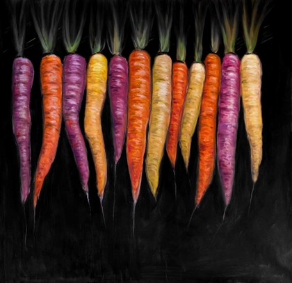 Picture of COLORFUL CARROTS VEGETABLE