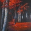 Picture of MYSTERIOUS FOREST