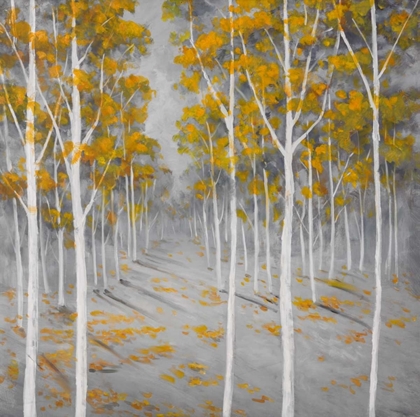 Picture of BIRCH FOREST