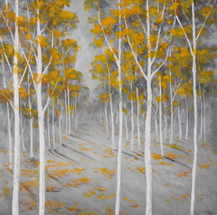 Picture of BIRCH FOREST