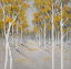 Picture of YELLOW BIRCH FOREST