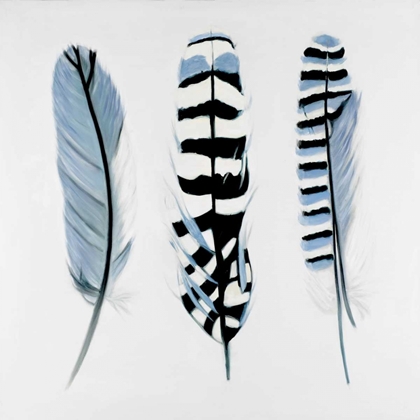 Picture of DELICATE FEATHERS