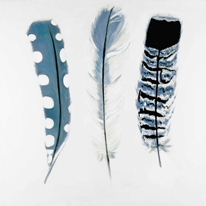 Picture of DELICATE BLUE FEATHERS