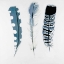 Picture of DELICATE BLUE FEATHERS