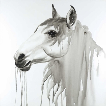 Picture of BEAUTIFUL WHITE HORSE