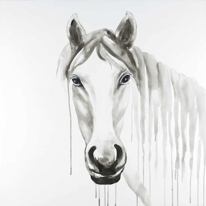 Picture of SOLITARY WHITE HORSE