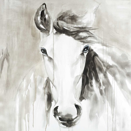 Picture of BEAUTIFUL ABSTRACT HORSE