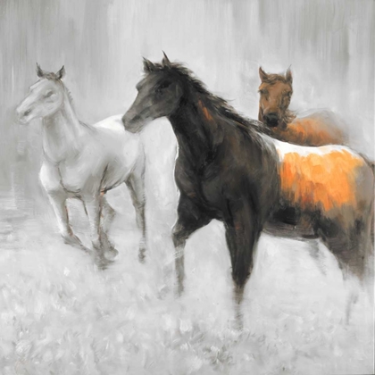 Picture of ABSTRACT HERD OF HORSES