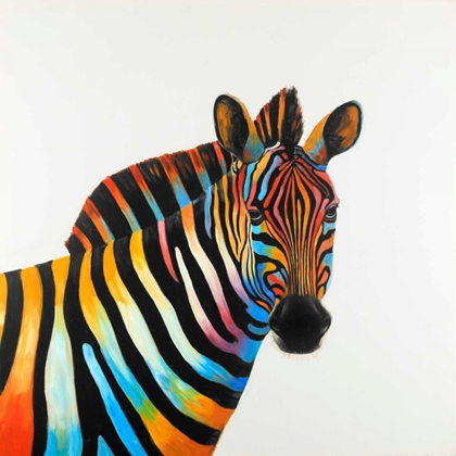 Picture of COLORFUL PROFIL VIEW OF ZEBRA