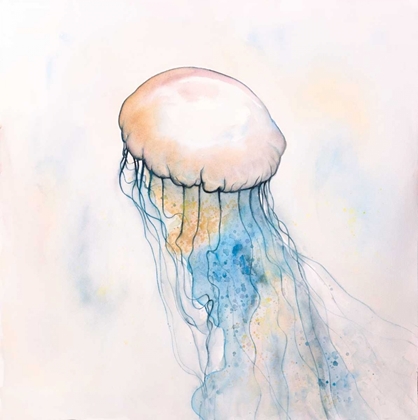 Picture of WATERCOLOR JELLYFISH