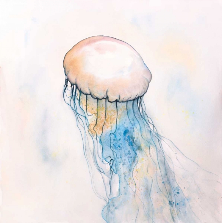 Picture of WATERCOLOR JELLYFISH