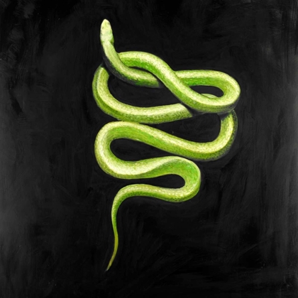 Picture of GREEN SNAKE