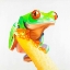 Picture of CURIOUS RED-EYED FROG
