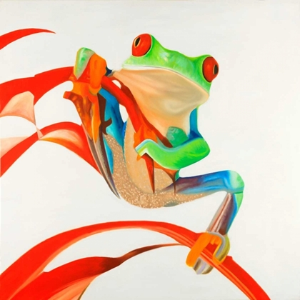 Picture of RED-EYED FROG
