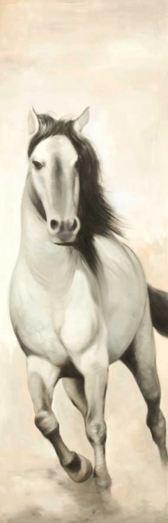 Picture of GRACEFUL HORSE