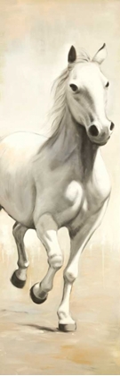 Picture of GALLANT WHITE HORSE