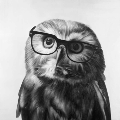 Picture of REALISTIC NORTHERN SAW-WHET OWL WITH GLASSES