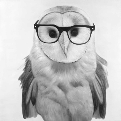 Picture of REALISTIC BARN OWL WITH GLASSES