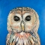 Picture of COLORFUL SPOTTED OWL
