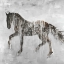 Picture of HORSE BROWN SILHOUETTE