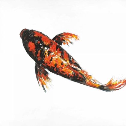 Picture of RED BUTTERFLY KOI FISH