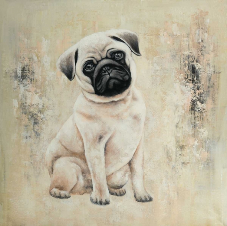 Picture of SMALL PUG