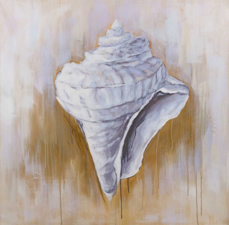 Picture of CONICAL SHELL