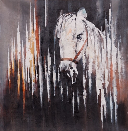 Picture of WHITE HORSE IN THE DARK