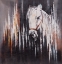 Picture of WHITE HORSE IN THE DARK