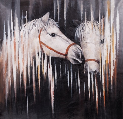 Picture of TWO WHITE HORSES KISSING