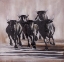Picture of GROUP OF RUNNING BULLS