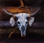 Picture of HANGED BULL SKULL