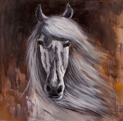 Picture of PROUD WHITE HORSE