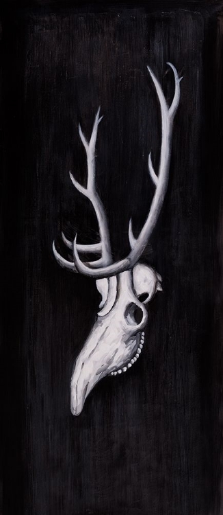 Picture of DEER SKULL IN THE DARK