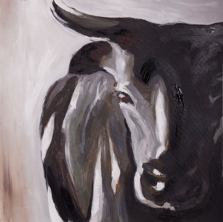 Picture of BULL HEAD CLOSEUP