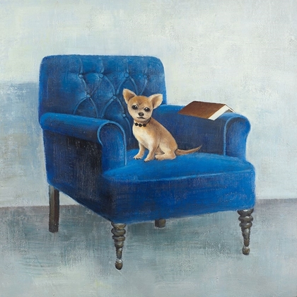 Picture of CHIHUAHUA ON A BLUE ARMCHAIR
